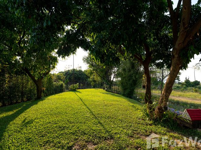 place photo 61