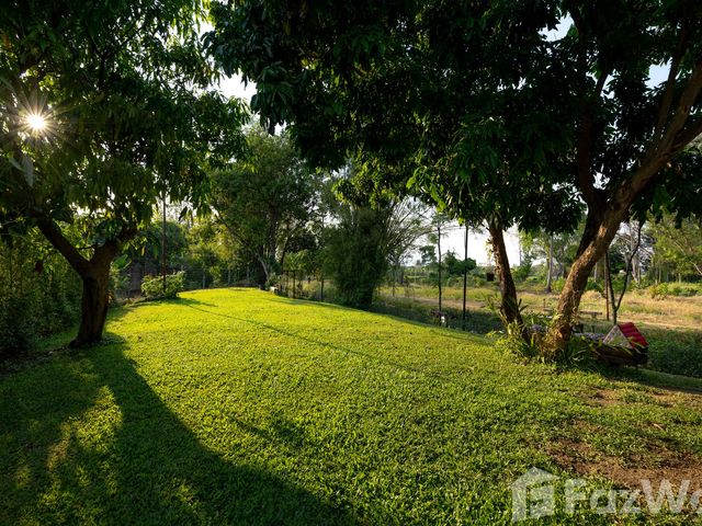 place photo 62