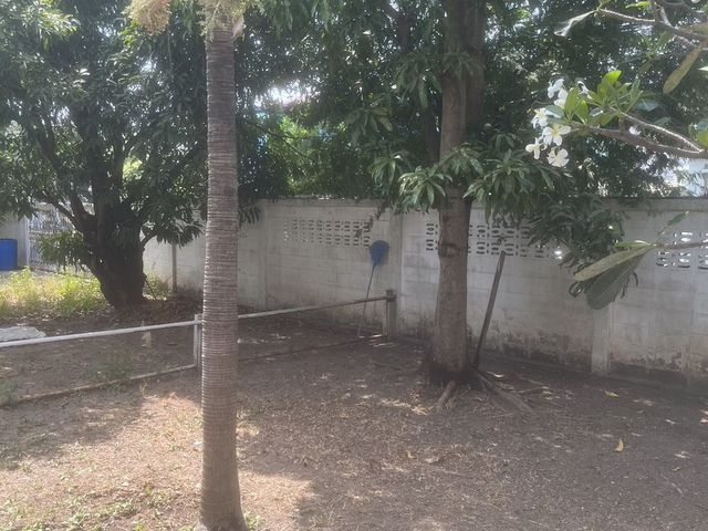 place photo 30