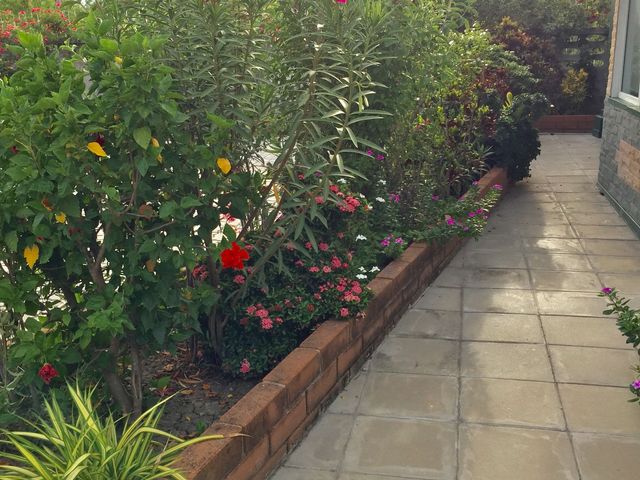 place photo 18