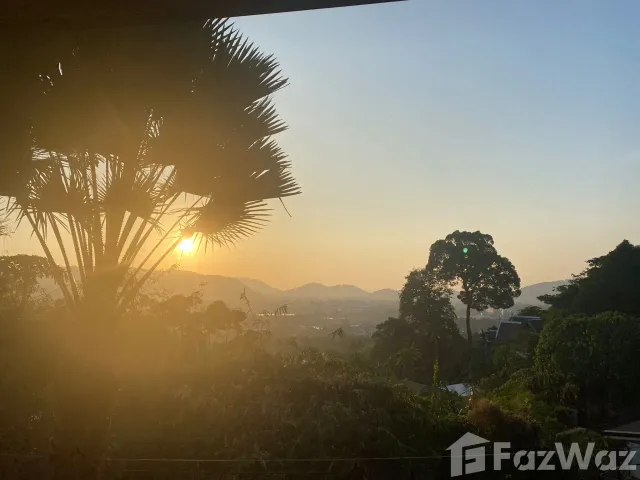 place photo 35