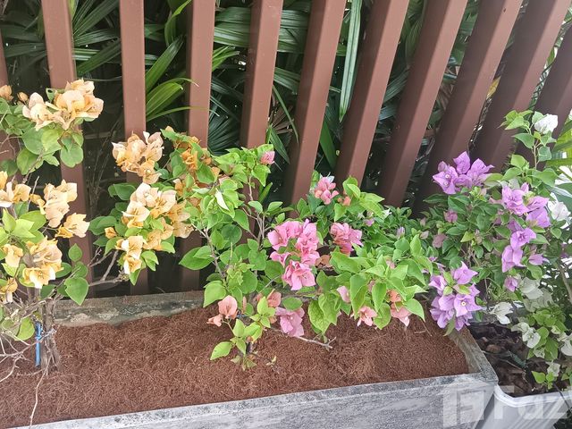 place photo 39