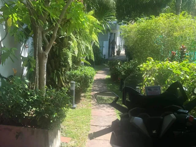 place photo 12