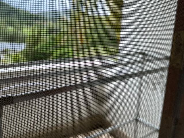 place photo 46
