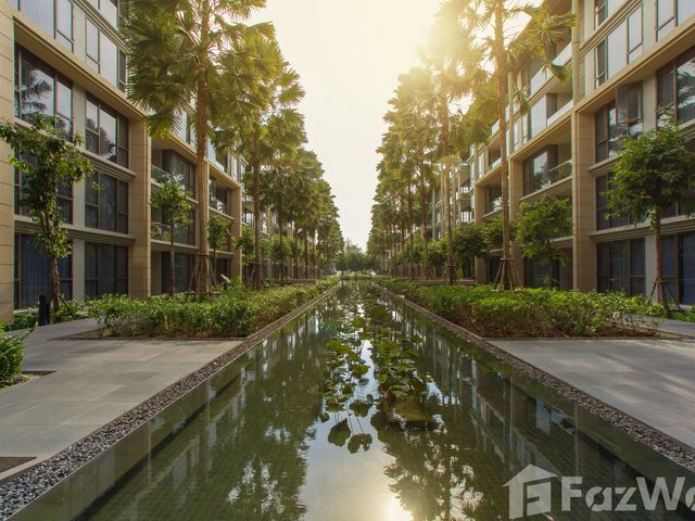 place photo 38