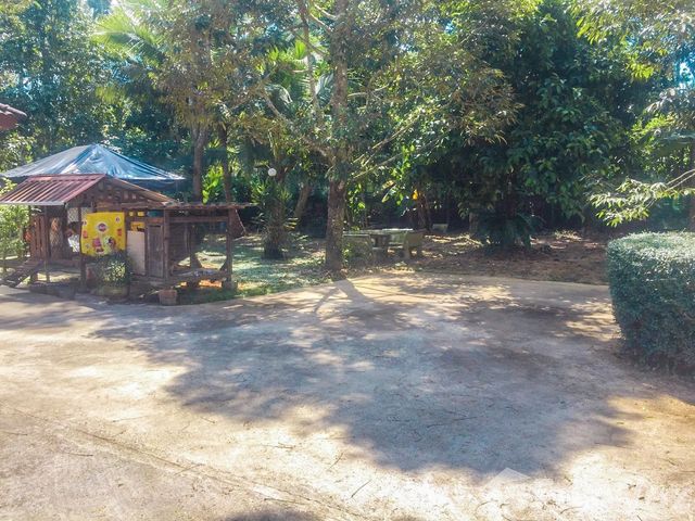 place photo 57