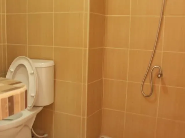 place photo 12