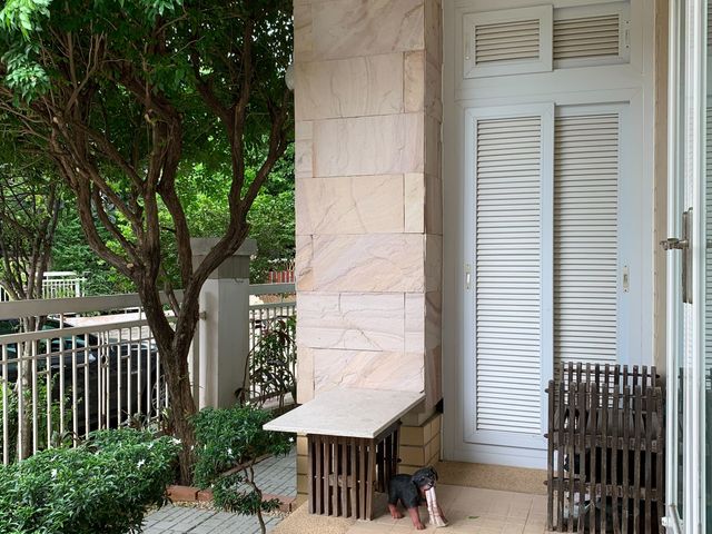 place photo 33
