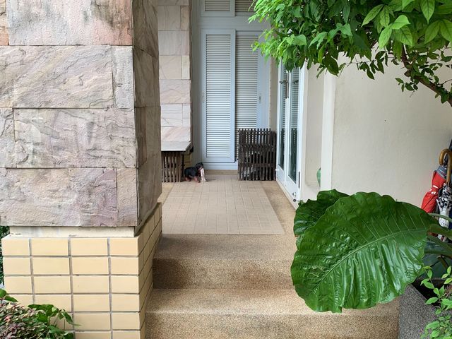place photo 32