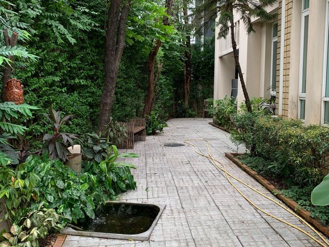 place photo 30