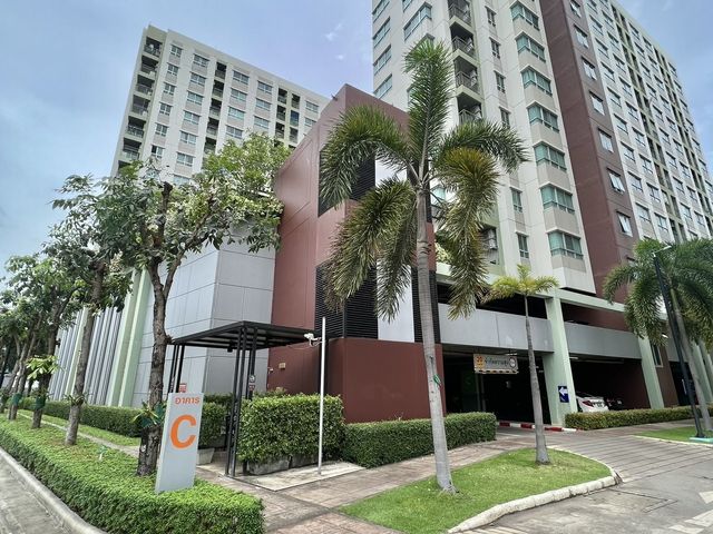 place photo 25