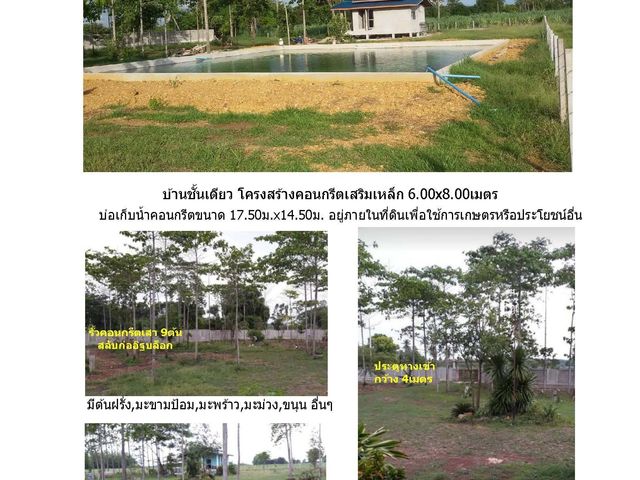 ขาย บ้านเดี่ยว 2 ห้องนอน ใน หนองกวาง, ราชบุรี