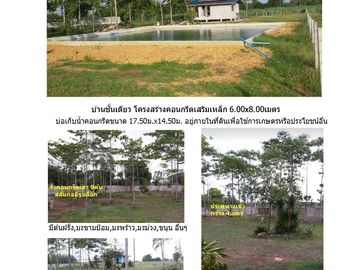 ขาย บ้านเดี่ยว 2 ห้องนอน ใน หนองกวาง, ราชบุรี