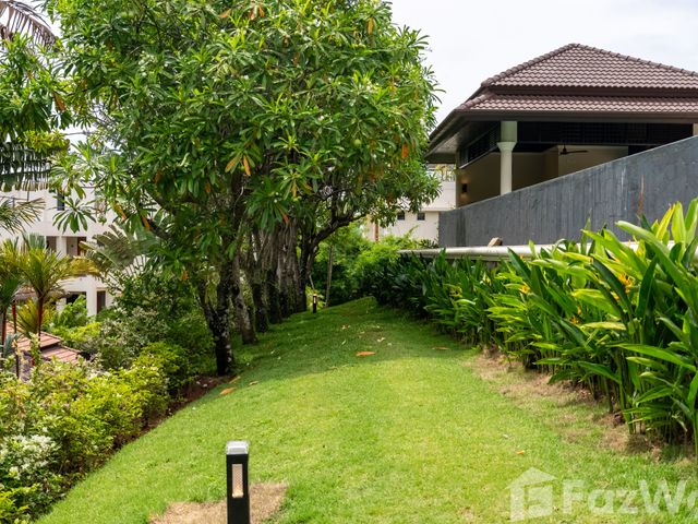 place photo 41