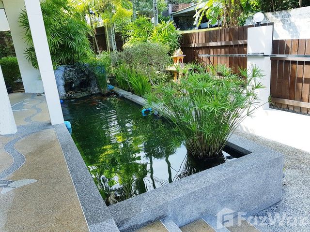 place photo 44