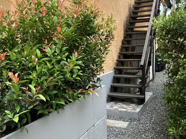 place photo 32