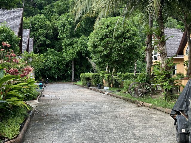 place photo 46