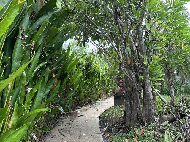 place photo 24