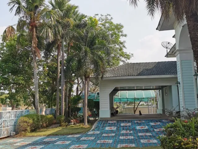 place photo 23