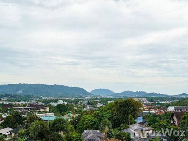 place photo 24