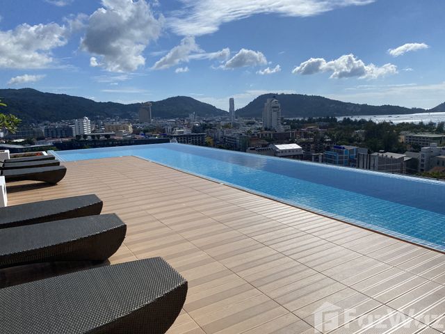place photo 23