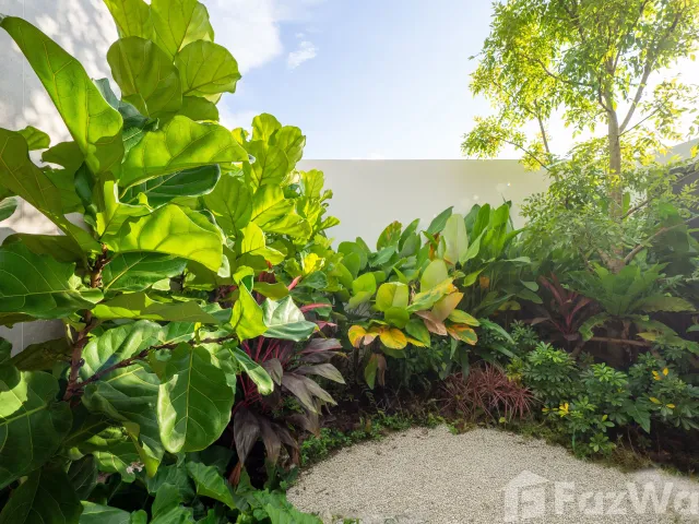 place photo 38