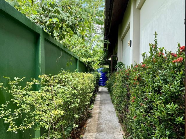 place photo 53