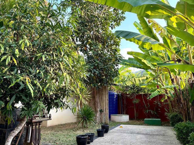 place photo 51