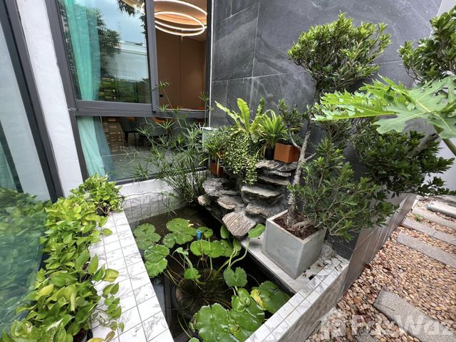 place photo 33
