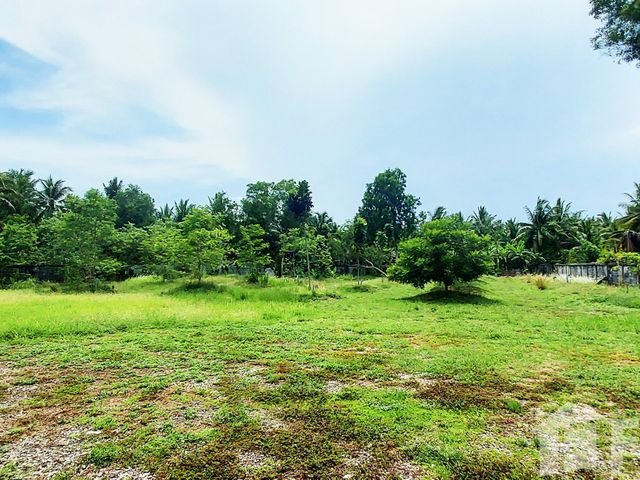 place photo 15