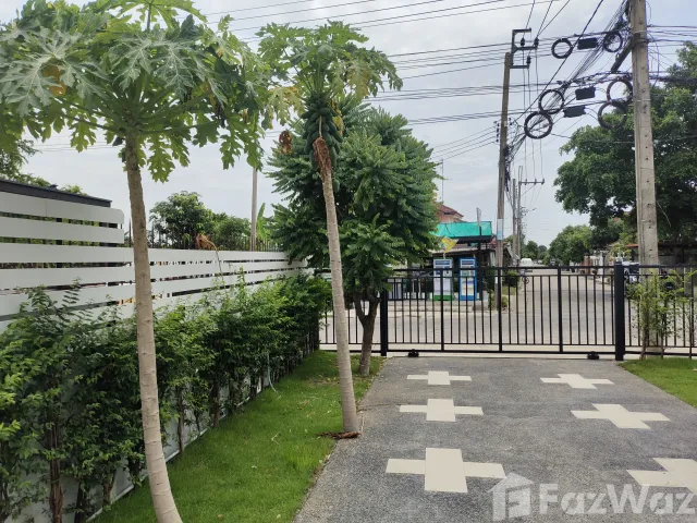 place photo 47