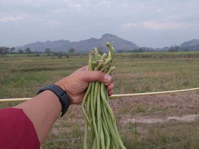 place photo 47