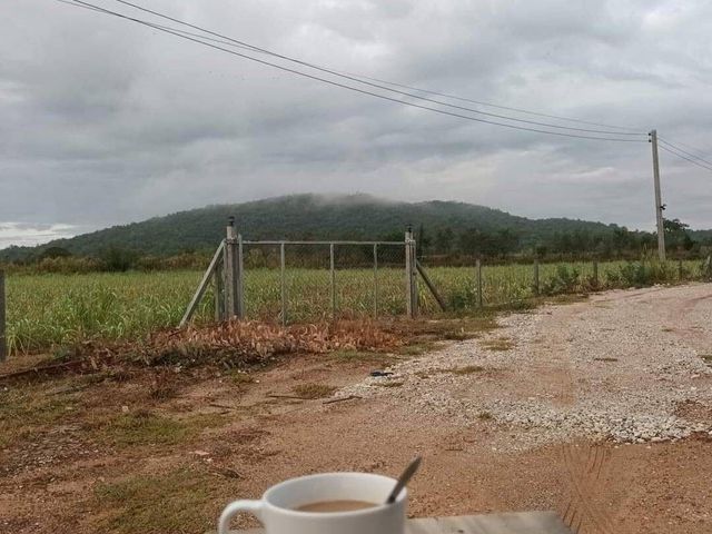 place photo 26