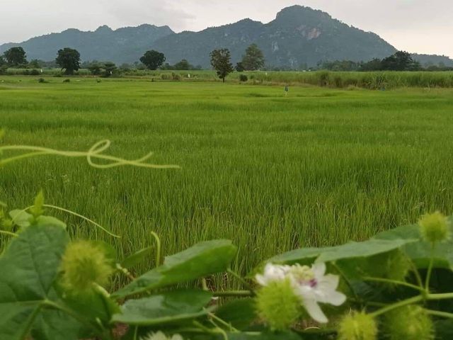 place photo 75