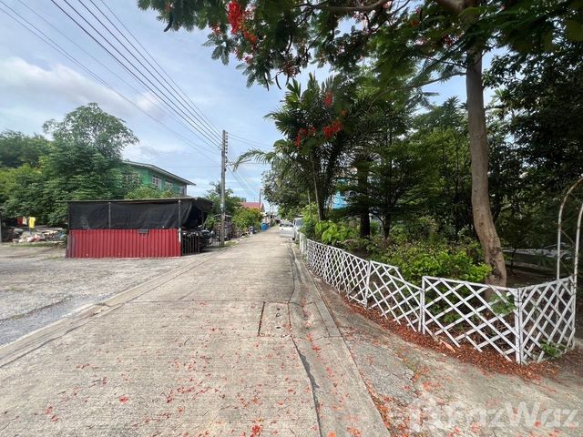 place photo 38