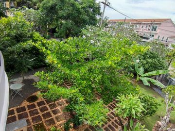place photo 60