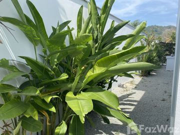 place photo 64