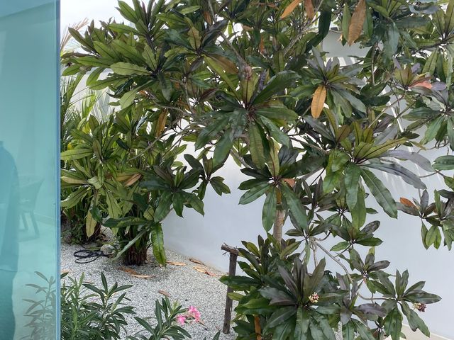place photo 65