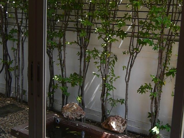 place photo 39