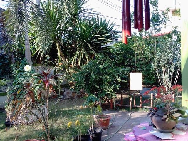 place photo 48