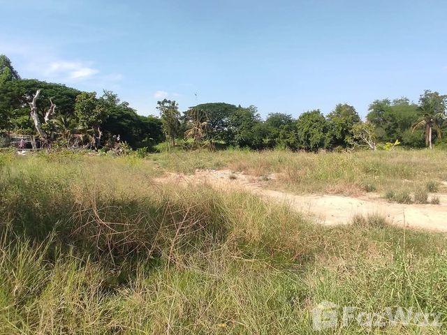 place photo 36