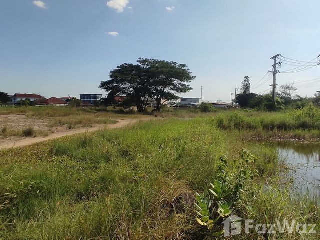 place photo 33