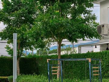 place photo 37