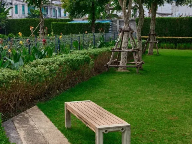 place photo 35