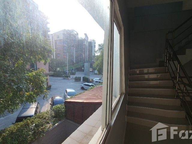place photo 37