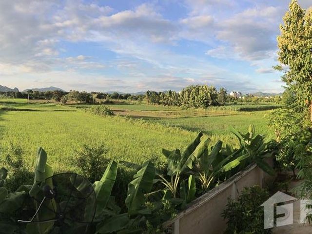 place photo 37