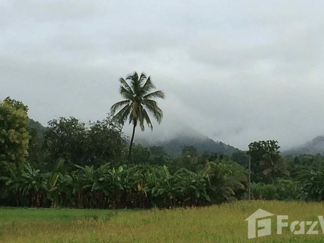 place photo 64