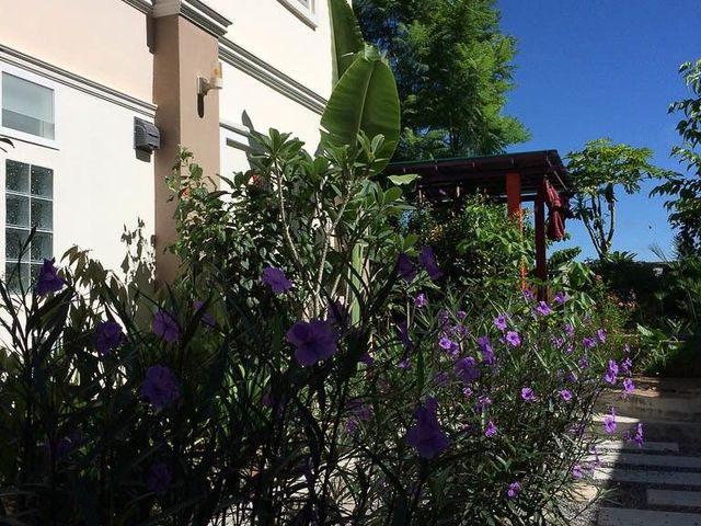 place photo 40