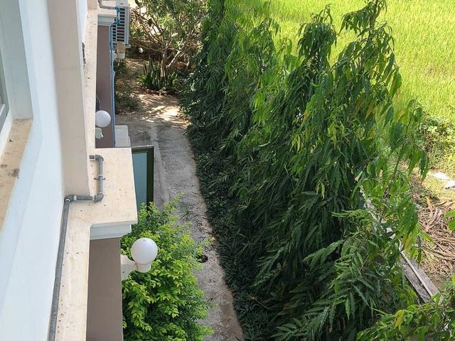 place photo 41