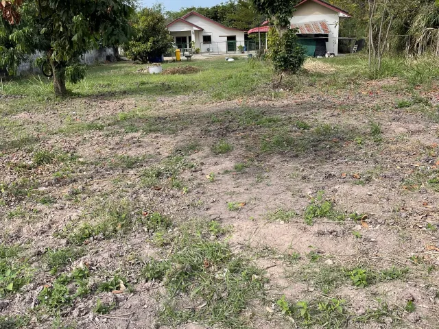 place photo 16